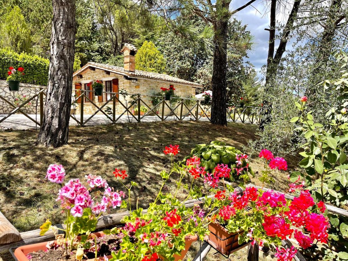La Panoramica Gubbio - Maison De Charme - Casette E Appartamenti Self Catering Per Vacanze Meravigliose! Eksteriør bilde