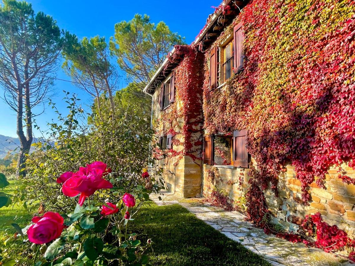 La Panoramica Gubbio - Maison De Charme - Casette E Appartamenti Self Catering Per Vacanze Meravigliose! Eksteriør bilde