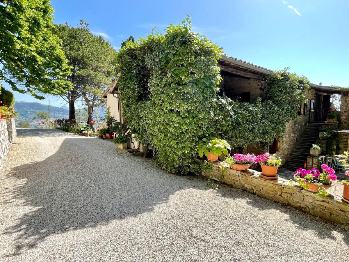 La Panoramica Gubbio - Maison De Charme - Casette E Appartamenti Self Catering Per Vacanze Meravigliose! Eksteriør bilde
