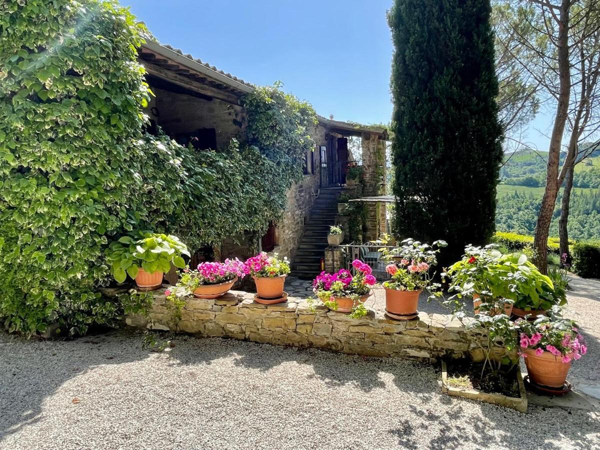 La Panoramica Gubbio - Maison De Charme - Casette E Appartamenti Self Catering Per Vacanze Meravigliose! Eksteriør bilde