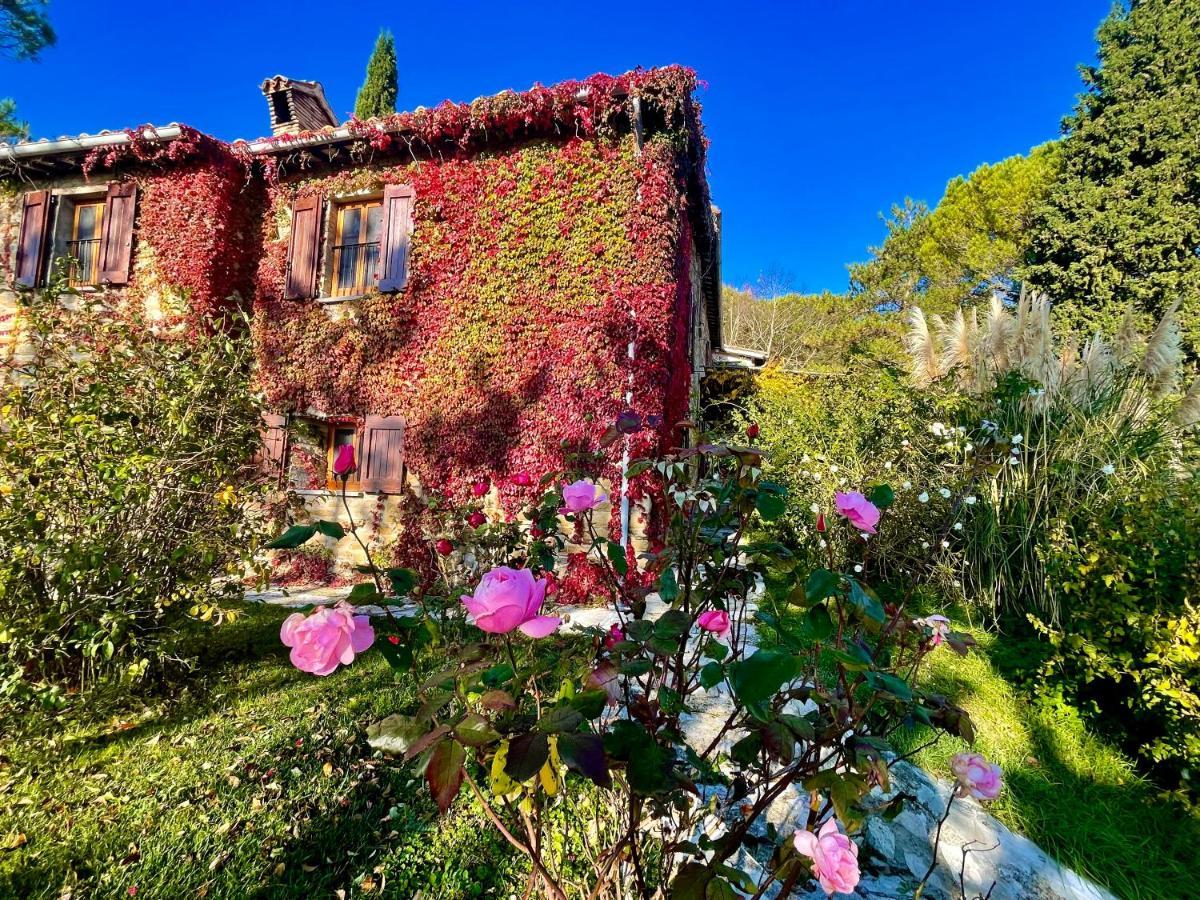 La Panoramica Gubbio - Maison De Charme - Casette E Appartamenti Self Catering Per Vacanze Meravigliose! Eksteriør bilde