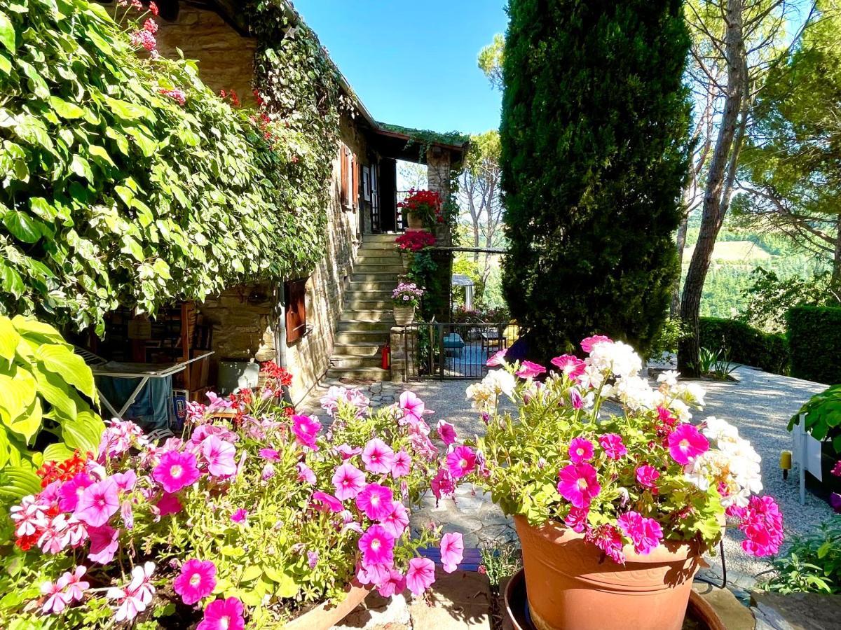 La Panoramica Gubbio - Maison De Charme - Casette E Appartamenti Self Catering Per Vacanze Meravigliose! Eksteriør bilde